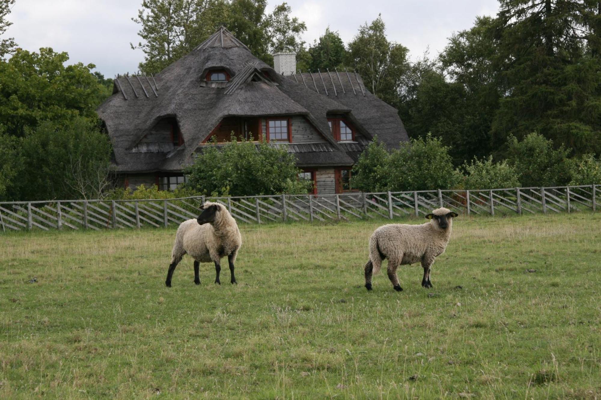 Отель Toomalouka Tourist Farm Экстерьер фото
