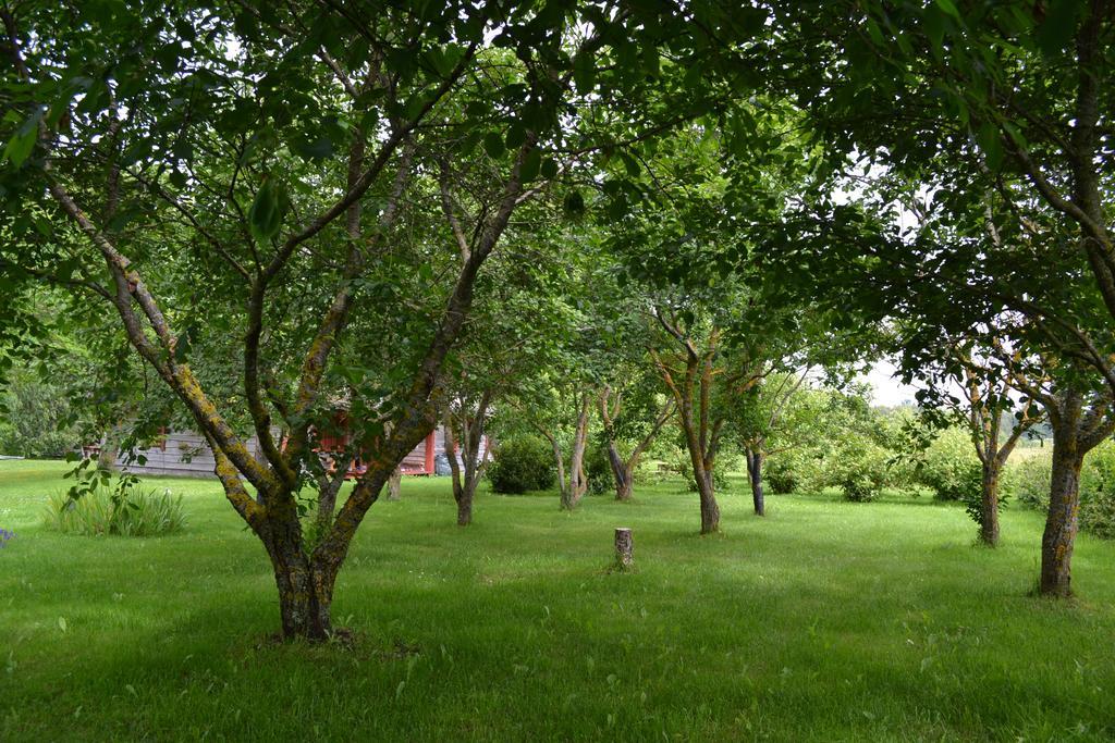 Отель Toomalouka Tourist Farm Экстерьер фото